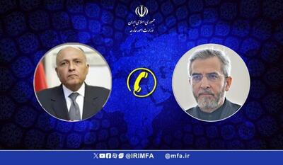 تاکید باقری و وزیرخارجه مصر بر استمرار رایزنی ها در خصوص ارتقای روابط ایران و مصر