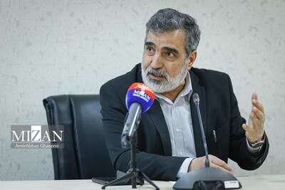 کمالوندی: صدور قطعنامه درباره ایران اقدامی غیرسازنده است