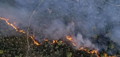 آتش سوزی پارک ملی کرخه در استان خوزستان