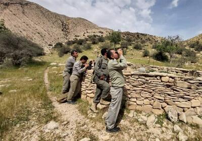 سقوط یک محیط‌بان در منطقه کوهستانی بیرمی تنگستان - تسنیم