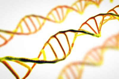 کشف ژنتیک پیری به کمک یک بیماری نادر