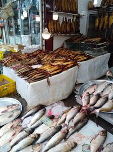سرانه مصرف ماهی در ایران کاهش یافت/  علت کاهش سرانه مصرف ماهی در کشور چبست؟