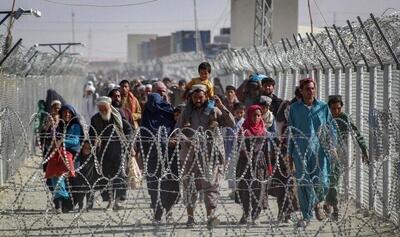 اعتراض طالبان به اخراج مهاجران افغان/خلاف کنوانسیون‌های بین‌المللی است