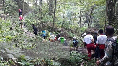 گم شدن گردشگران تهرانی در جنگل مینودشت / یک زن دچار آسیب شده بود