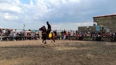 اولین همایش کشوری اسب کرد در دهگلان