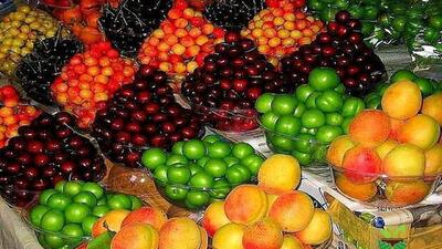 قیمت میوه‌های نوبرانه ۲۰ درصد کاهش یافت