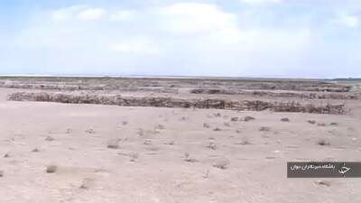 بیابان‌زدایی در ۶۰۰ هکتار از اراضی تالاب میقان