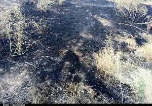 ۵۰ هکتار از اراضی پلدختر در آتش سوخت