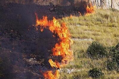آتش سوزی در جنگل‌های خامی گچساران