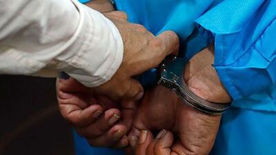دستگیری یکی از عوامل ضد امنیتی توسط سازمان اطلاعات سپاه در اردبیل
