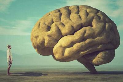 قدرت مغز ۱۰ برابر بیشتر از حد تصور!