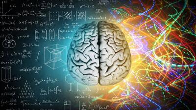 مغز انسان چند ترابایت داده ذخیره می‌کند؟ | اقتصاد24