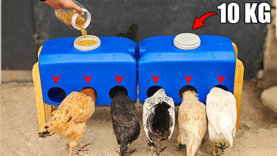 (ویدئو) نحوه ساخت یک دانخوری ارزان برای مرغ با بطری های 20 لیتری پلاستیکی