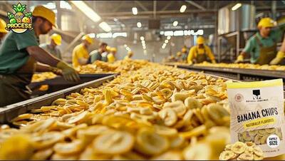 (ویدئو) مراحل فرآوری صدها تن موز برای تولید چیپس در پاکستان