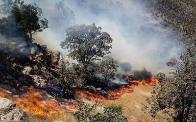 جنگل‌های پاوه همچنان در آتش می‌سوزد