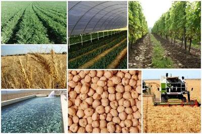 رفع 70 درصدی تداخلات اراضی کشاورزی استان مرکزی / بازگشت 80 درصد اراضی کشاورزی به مردم