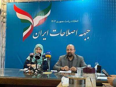 آذر منصوری: تصمیم گرفتیم از فرصت انتخابات استفاده کنیم