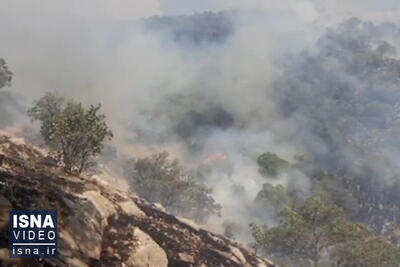 ویدیو/ شعله‌های آتش به جان جنگل‌های پاوه افتاد