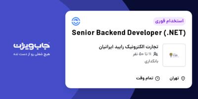 استخدام Senior Backend Developer (.NET) در تجارت الکترونیک رایبد ایرانیان