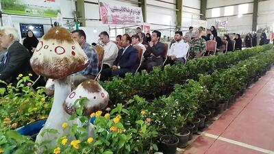 افتتاح نمایشگاه گل و گیاه در بردسکن