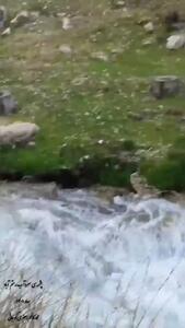 چشمه سرداب رستم آباد از دیدنی ترین جاهای چهارمحال و بختیاری