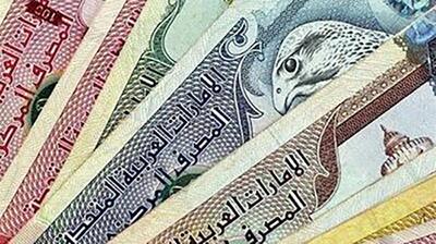 قیمت درهم امارات به تومان، امروز شنبه 19 خرداد 1403