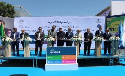 افتتاح نمایشگاه‌ ایران اگروفود ۲۰۲۴ با حضور رئیس سازمان توسعه تجارت ایران