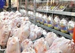 رشد دو برابری صادرات تخم مرغ و آلایش مرغی