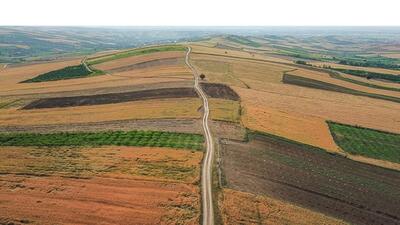 افزایش ۱۳ درصدی دیم زار‌های طرح جهش تولید در آذربایجان غربی
