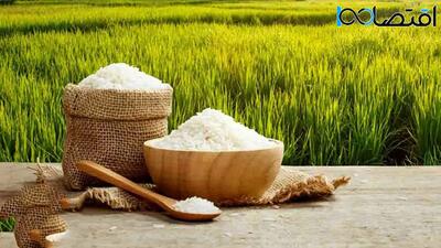 قیمت جدید انواع برنج ایرانی، پاکستانی و هندی اعلام شد - اندیشه معاصر