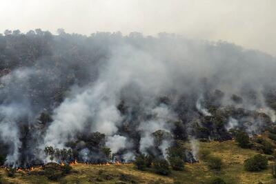 مهار آتش سوزی جنگل های نارک گچساران پس از ۱۲ ساعت