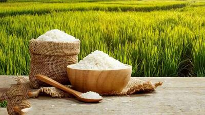 قیمت جدید انواع برنج ایرانی، پاکستانی و هندی اعلام شد