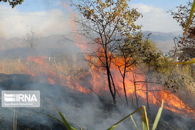 مهار آتش‌سوزی در ارتفاعات کوه‌نارک/ حضور 60 نیروی مردمی در امدادرسانی