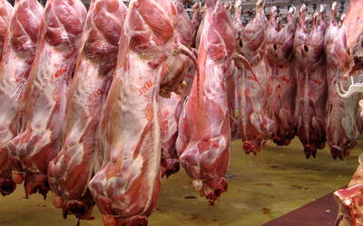 قیمت جدید گوشت گوسفندی /  گوشت آبگوشتی کیلویی چند؟