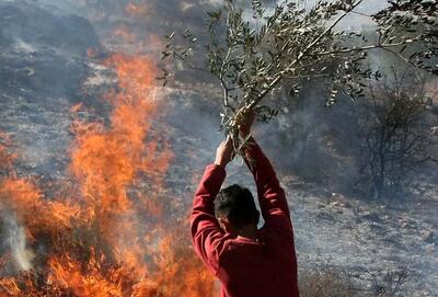 شهرک‌نشینان صهیونیست خانه‌ها و زمین‌های کشاورزی در کرانه باختری را به آتش کشیدند