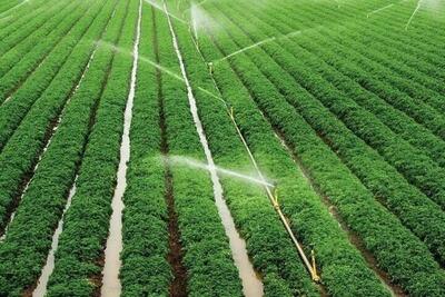 ۱۲۰ پروژه بخش کشاورزی در خراسان جنوبی افتتاح می‌ شود