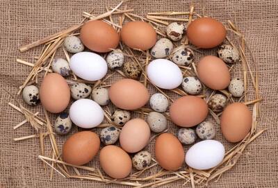 قیمت تخم مرغ امروز در بازار چند بود؟