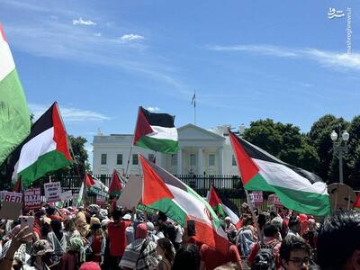 عکس/ راهپیمایی حامیان فلسطین در مقابل کاخ سفید
