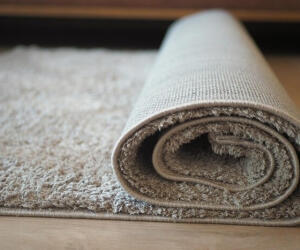 سوختگی روی فرش و موکت چطوری پاک میشه؟
