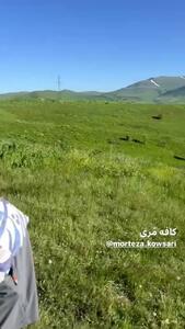 تفریحات آخر بهاری و لاکچری علی ضیا در طبیعتی زیبا در ارمنستان