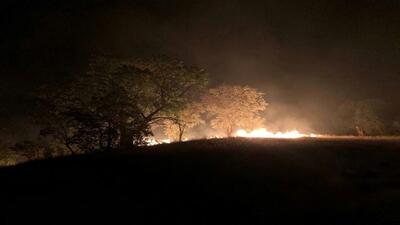 آتش سوزی منطقه بلبزان پاوه تحت کنترل است