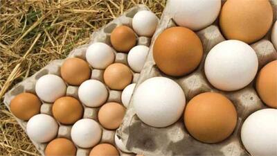 صادرات ۳۹ هزارتن تخم مرغ از ابتدای سال