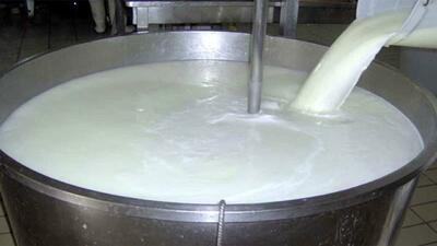 تولید شیرخام تا بیش از ۱۴ میلیون تن مستلزم حمایت از تولید است