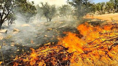 عوامل انسانی، بیشترین علت آتش سوزی در باغ‌های قزوین