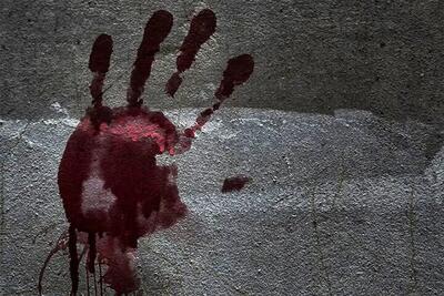 قتل پدر و فرزند در زرین‌دشت / دستور ویژه فرمانده انتظامی فارس