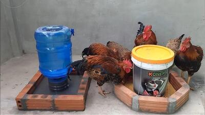 یک روش ساده برای ساخت دانخوری و آبخوری برای مرغ‌ها با بطری و آجر (فیلم)