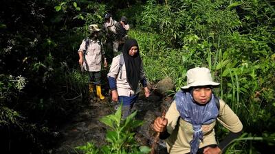 زنانی که برای حفظ جنگل‌ها هنجار‌ها را زیر پا می‌گذارند