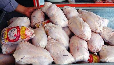 صادرات ۴ هزار تن مرغ و مشتقات طی سه ماه