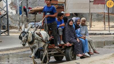(تصاویر) اهالی غزه به استفاده از گاری و الاغ روی آوردند