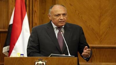 خوش‌وبش باقری و سامح‌الشکری وزیر خارجه مصر | ویدئو
